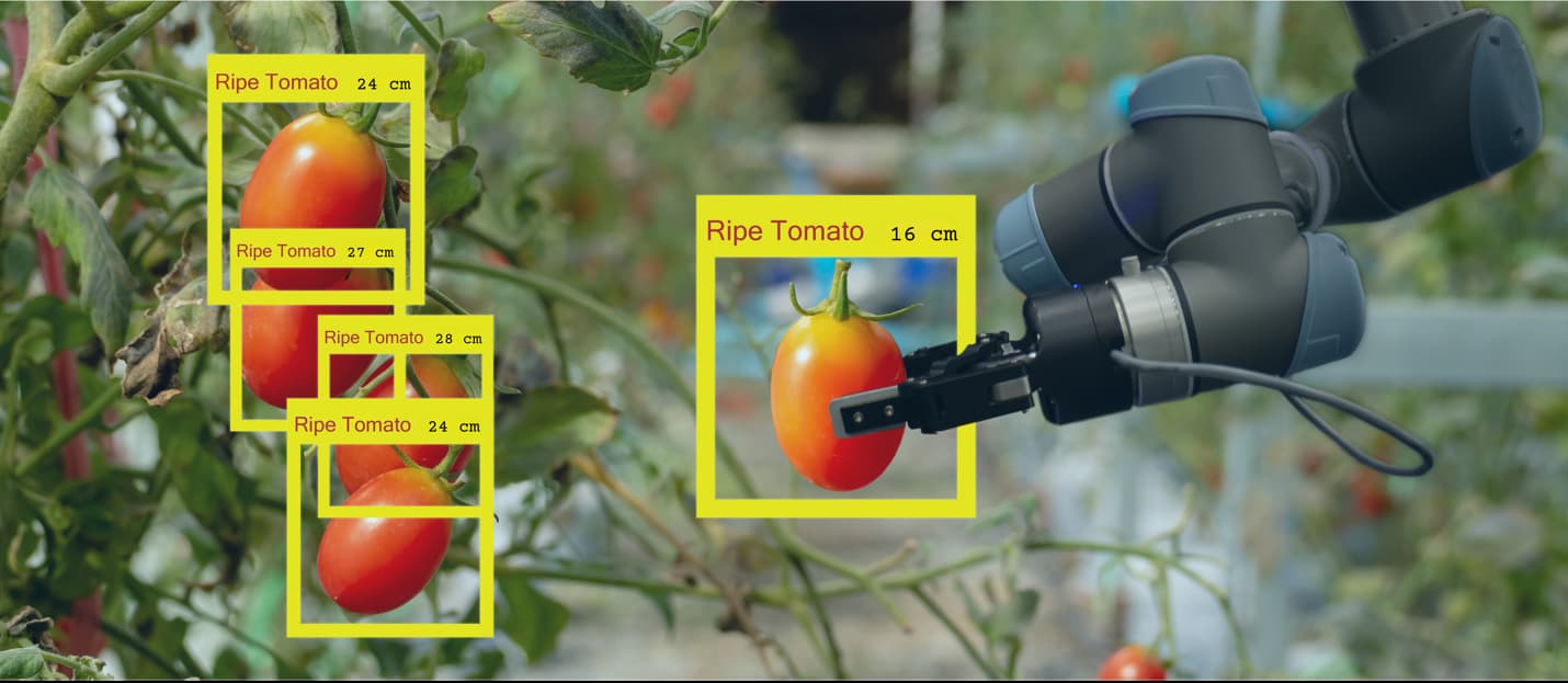 AI model trained for fruit detection